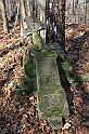 Rostoczek 11.2008 257